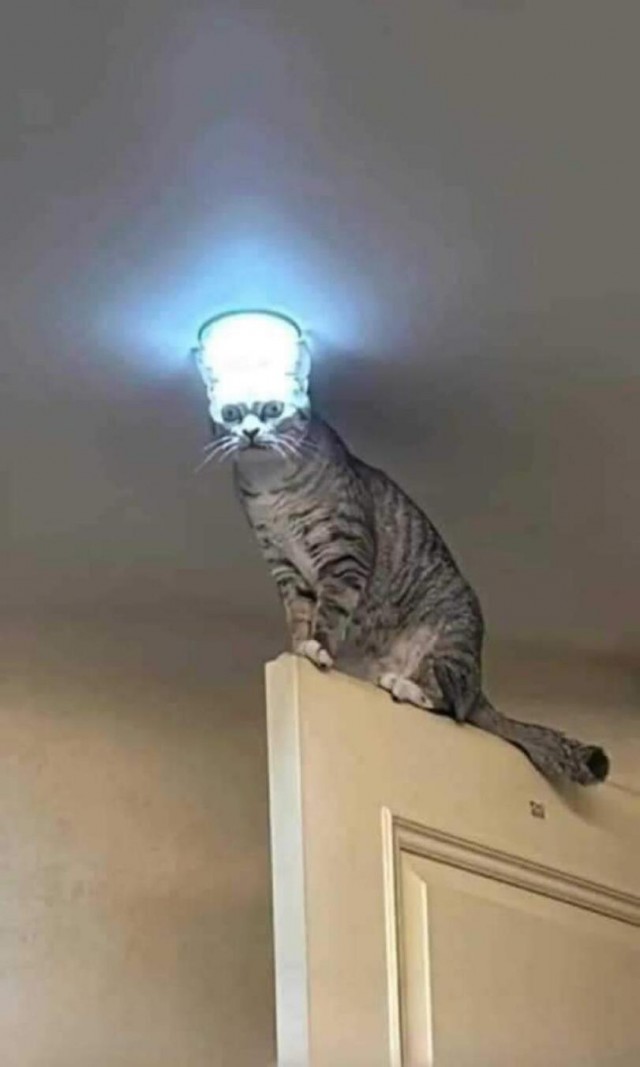 ФотоВинегрет
