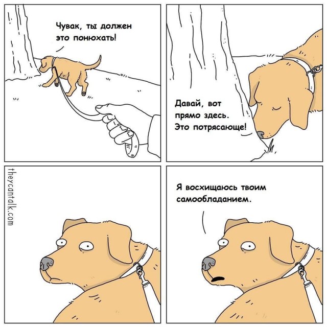 Никакие картинки