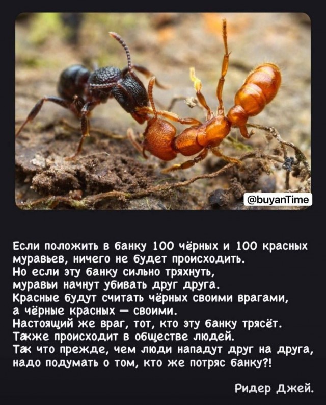Ковид, Цифровая валюта и прочие радости