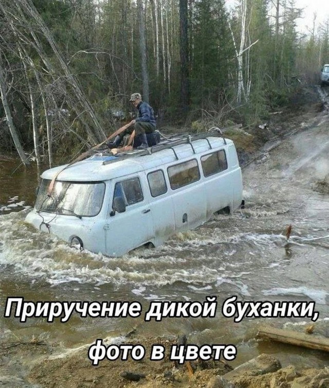 Картинки разные с надписями и без
