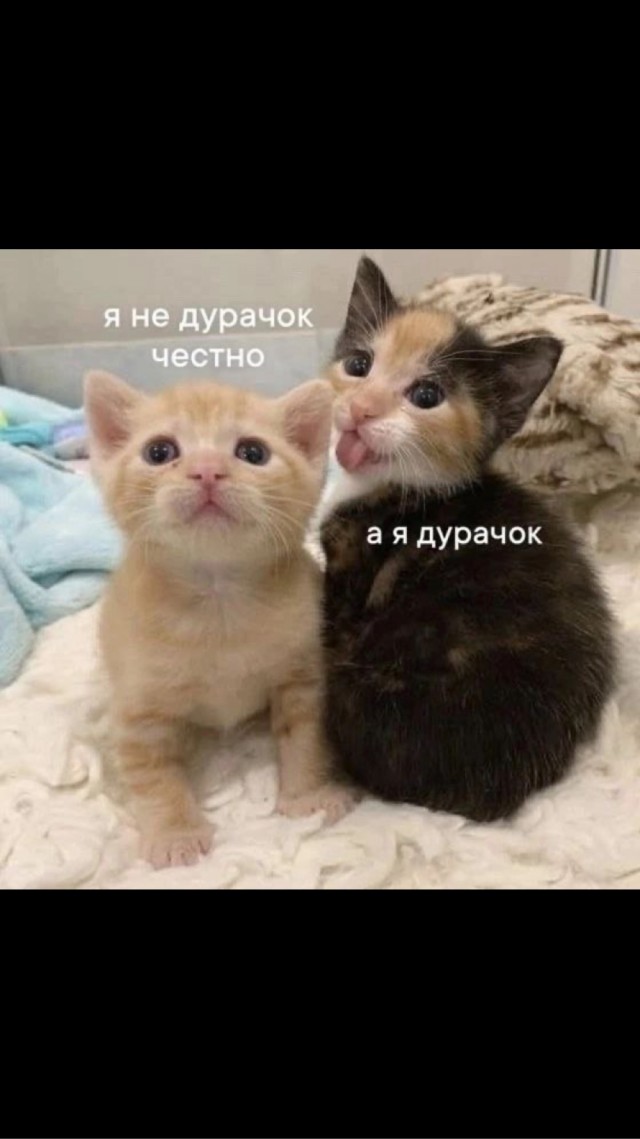 А оригинально это он придумал!