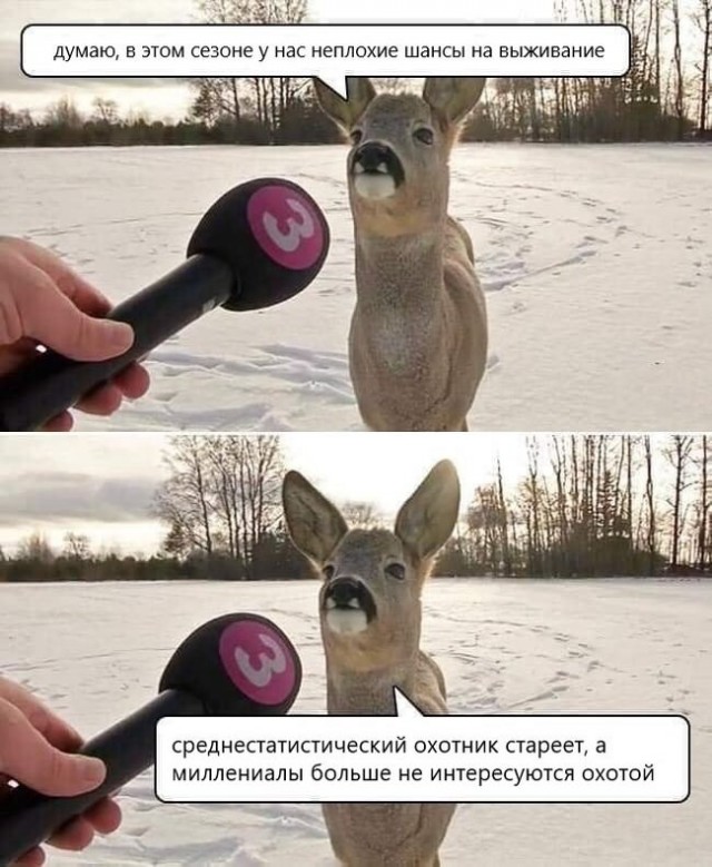 Так себе картинки 02.02.25