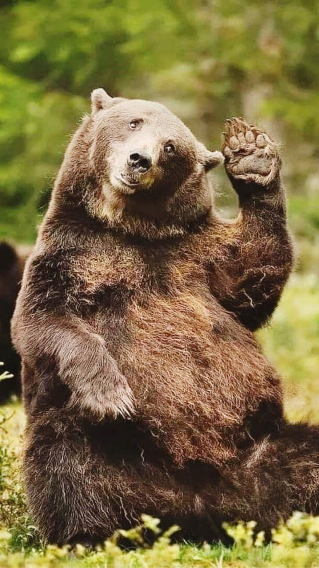 Прикольные и просто красивые картинки 04.04.2025