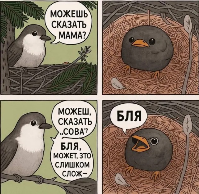 Нуштош 06.05.2025. Старая реальность (s3e12)