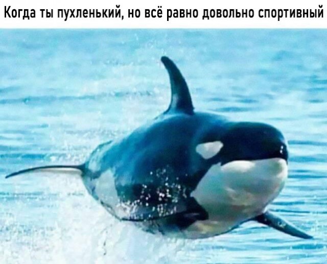 Грация она такая  ...