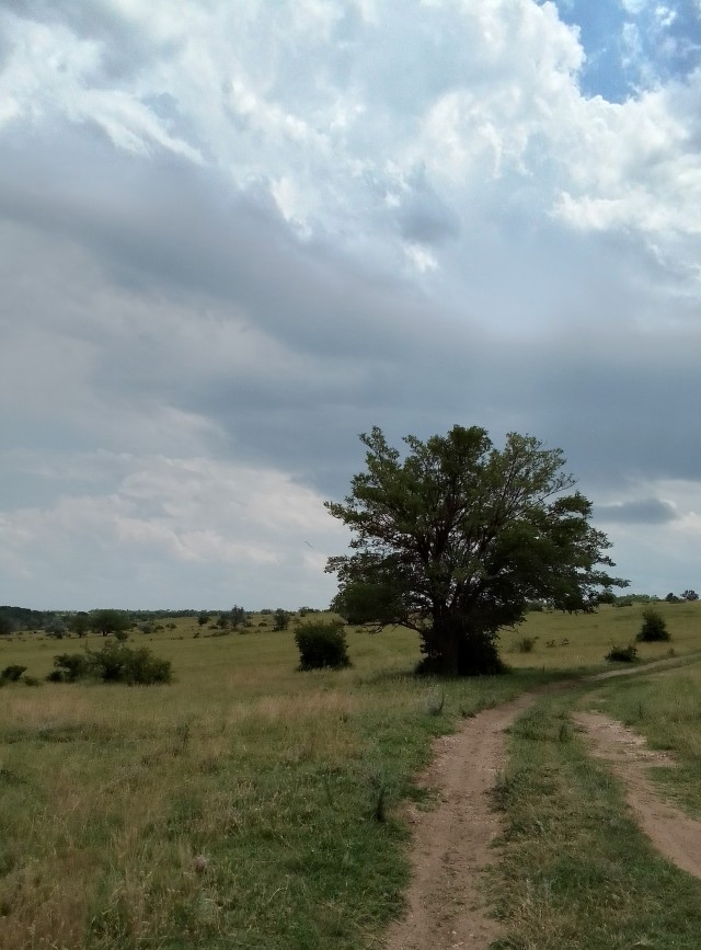 Гляньте красотищу