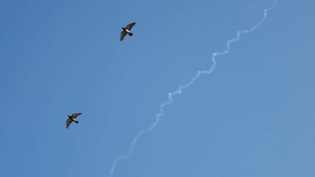 Армия обороны Израиля (ЦАХАЛ) зафиксировала пуски ракет из Ирана после объявления о прекращении огня