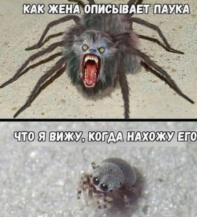 Веселые картинки в маленькую пятницу (16.07)
