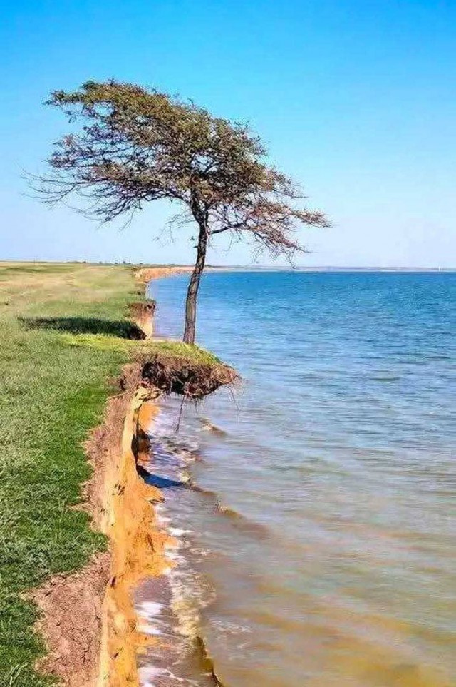 Тузловские лиманы.