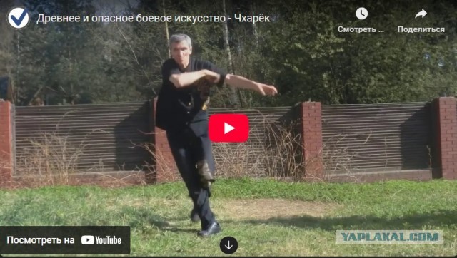 Чхарек и шторы