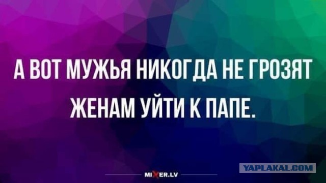 Так себе картинки 15.11.25