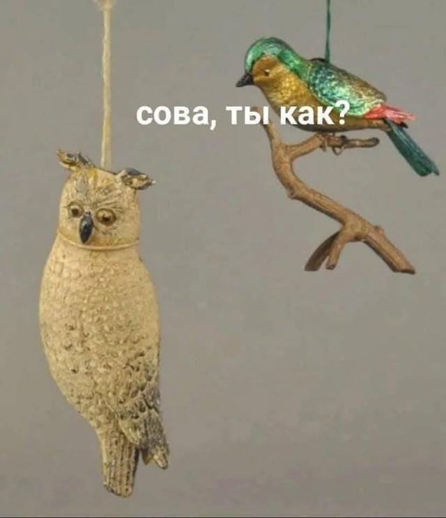 Сова едет на корпоратив