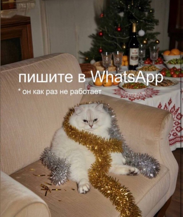 Дегрономикон 8