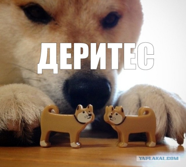 Индийский сбор урожая