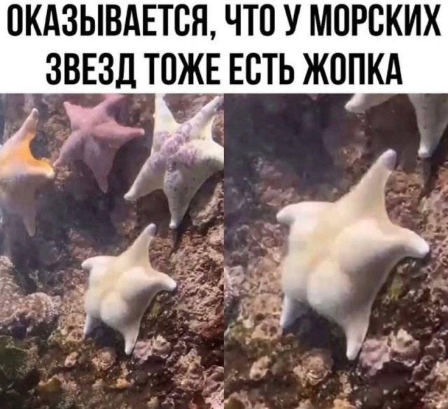 Четверговые картинки