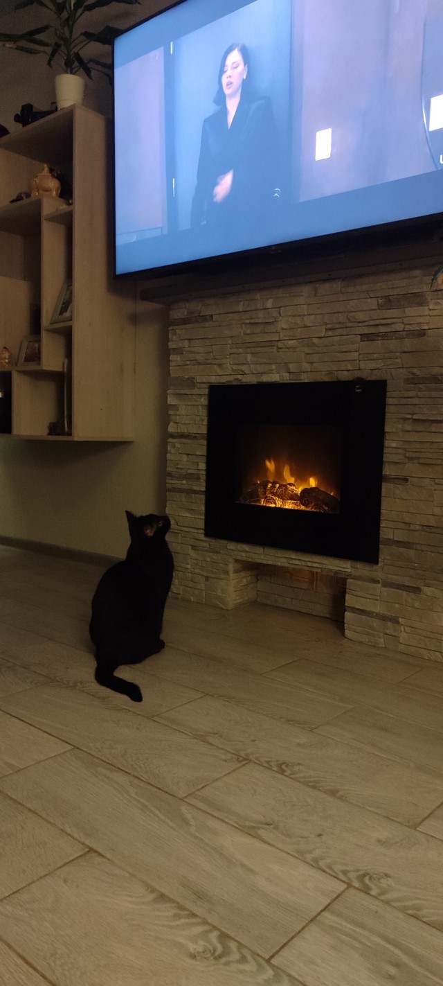 Котовторник же, хватит спать!