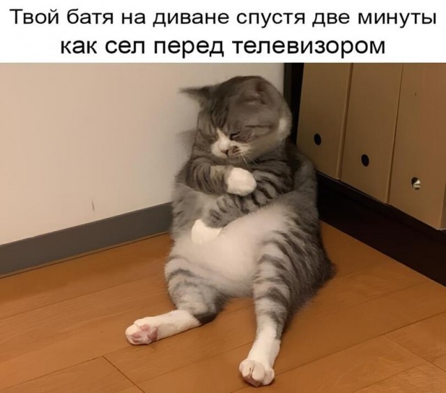 Для хорошего настроения ЧАСТЬ 1