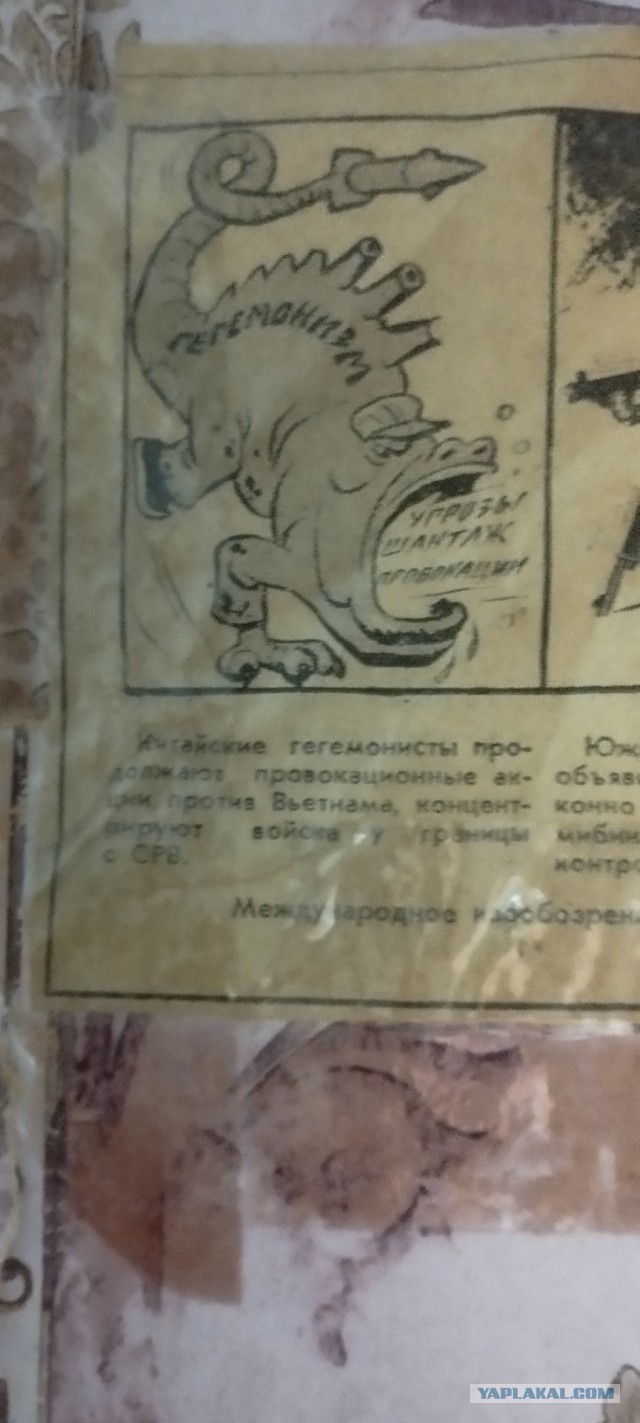 капсула времени