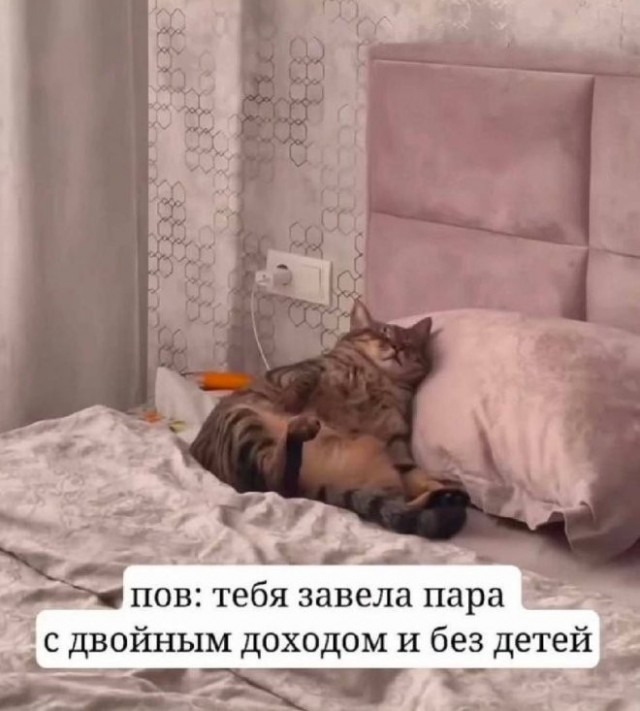 Картиночки, баянчики 23 мая