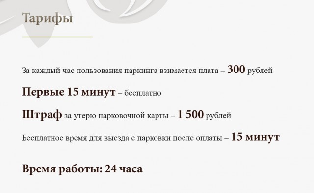 Девушка показала счет за парковку размером в 1 млн 115 тысяч рублей