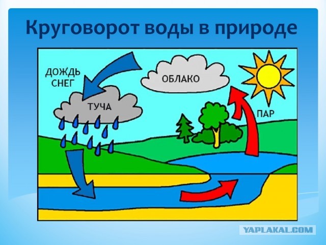 Если в Рейне нет воды...
