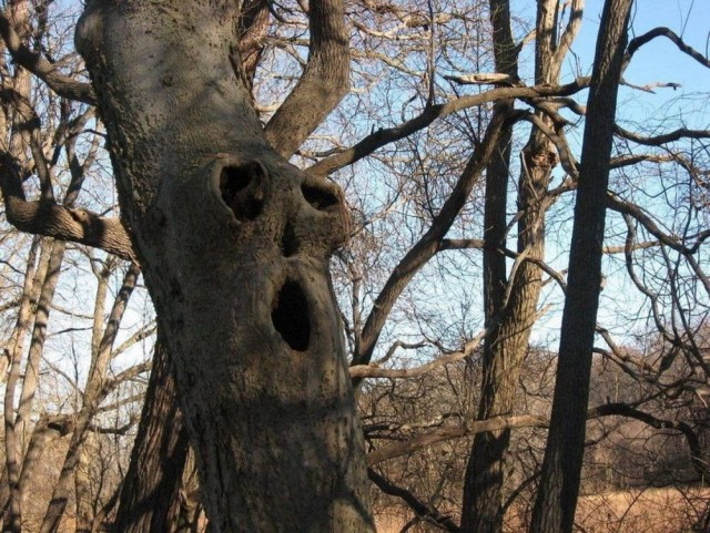 Картинки на среду