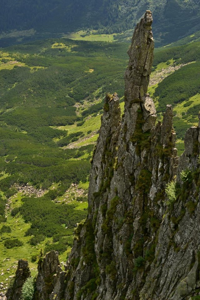 Гуцульские Карпаты
