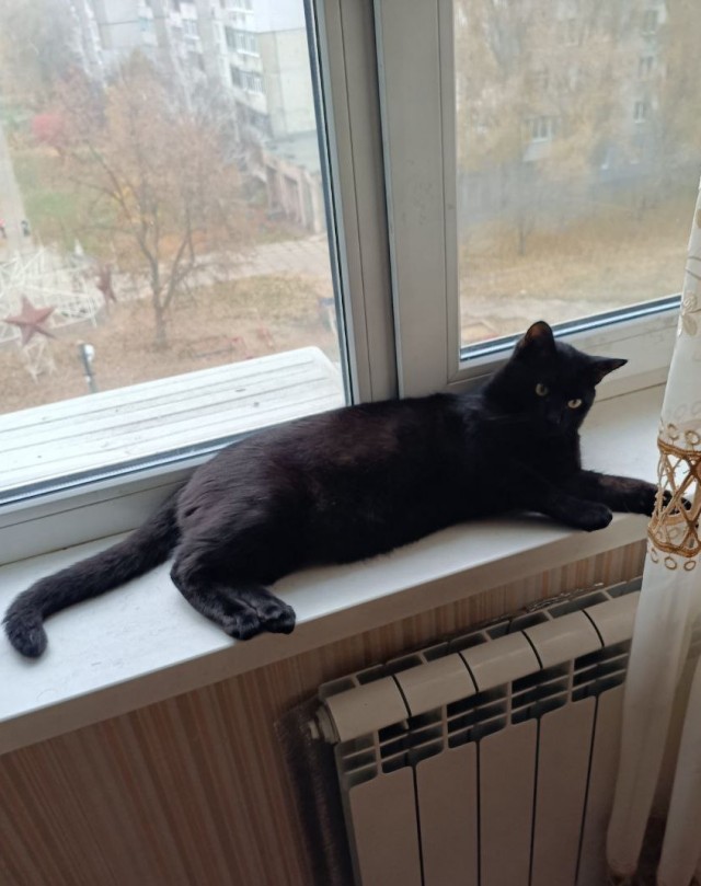 18 лет!