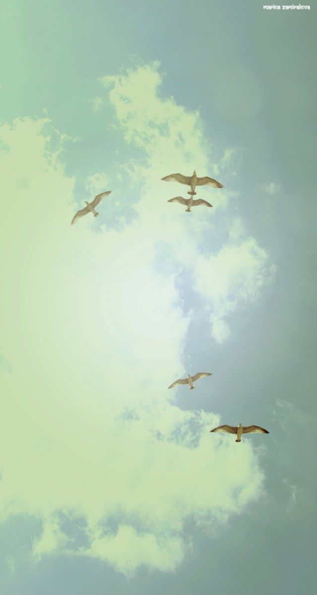 Крым: Судак и окрестности