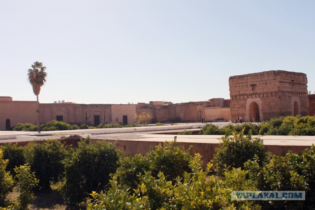 Новогодняя ночь в пустыне Сахара