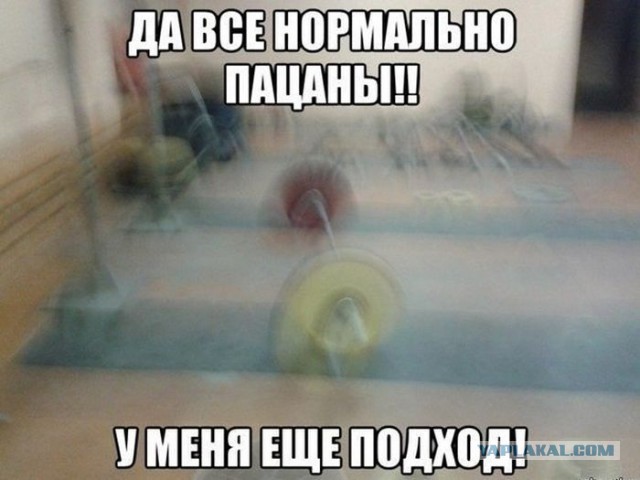 Смешные картинки