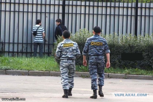 Картиночные забавности
