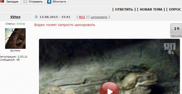 Мимимишность отсутствует... полностью...