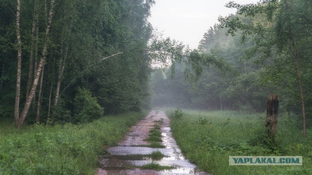 Моё увлечение фотографией