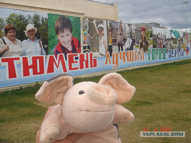 Как упал деревянный мост в Тюмени