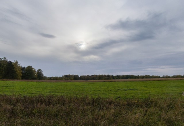 Деревенская Америка