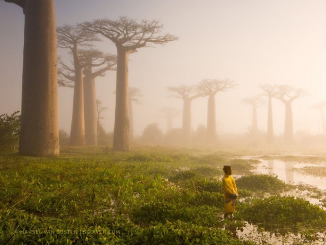 Лучшие фотографии National Geographic 2015