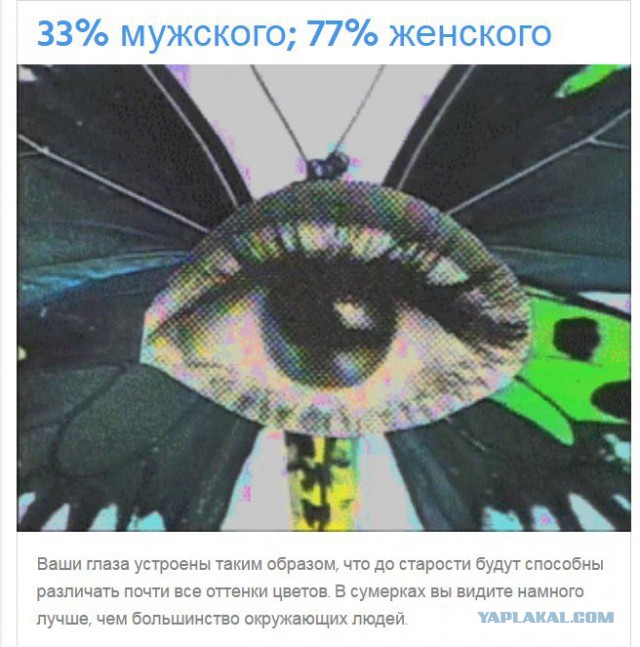 Тест: Вы воспринимаете этот мир глазами мужчины или женщины?