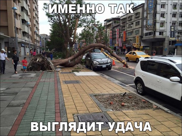 Картинки и гифки, глаза порадовать