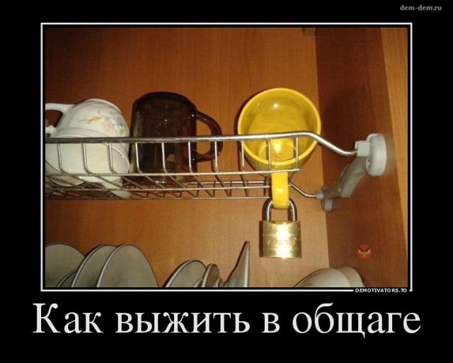 Общежитие не слушает: что творят студенты, когда родителей нет рядом