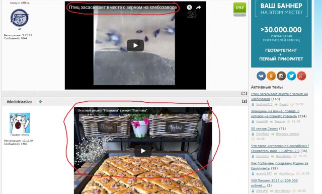 Птиц засасывает вместе с зерном на хлебозаводе