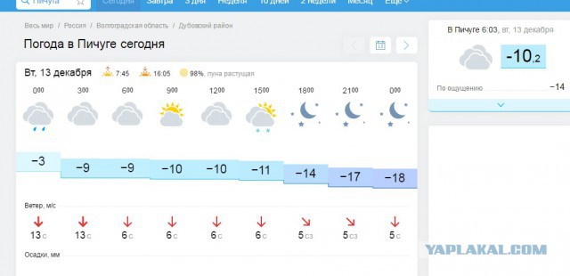 Жизнь как она есть 2