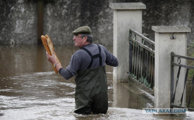 Главные фотографии года по версии Reuters