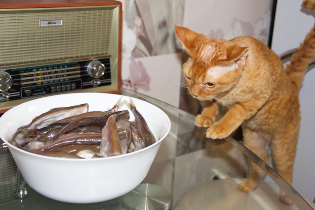 Пирог с мойвой