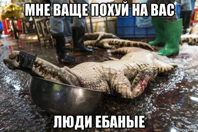 Китайский рынок морепродуктов
