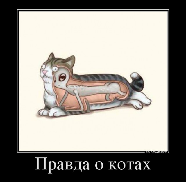 Открой мне