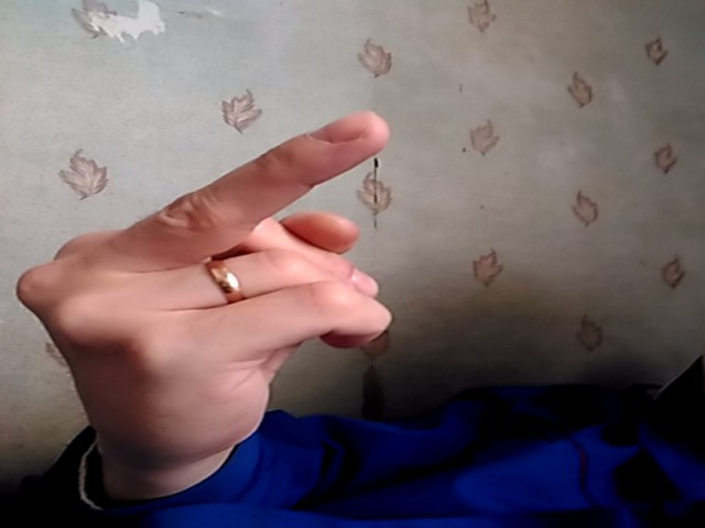 Итоги проверки пользователей
