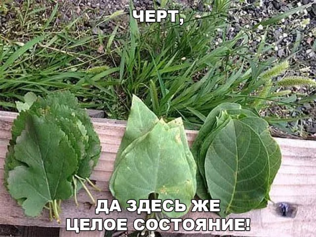Нестандартный юмор