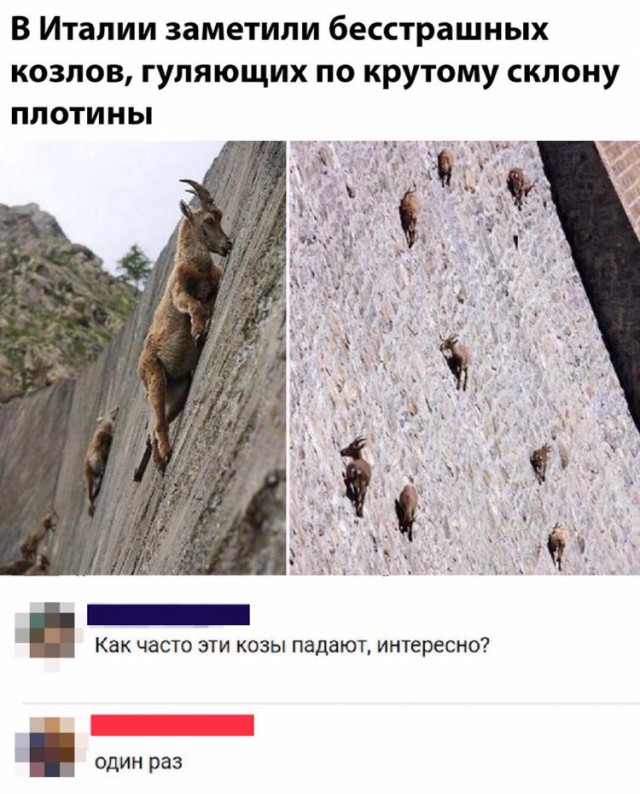 Сотка