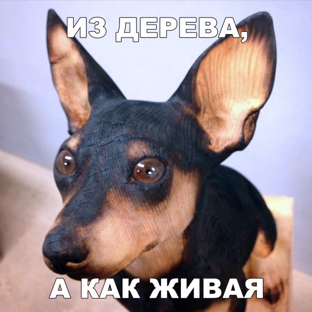 Нестандартный юмор